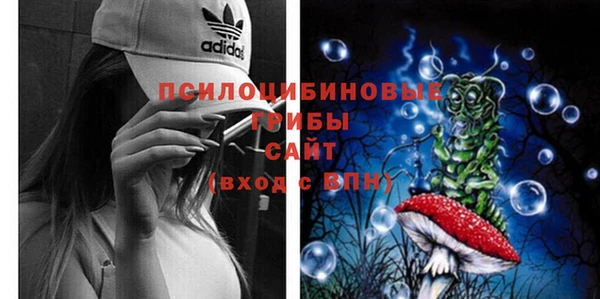 mdma Зеленокумск