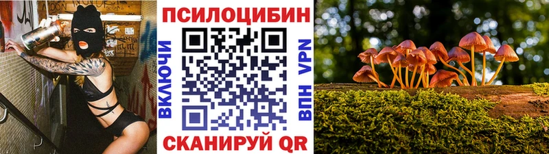 Псилоцибиновые грибы мицелий  Кувандык 